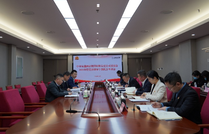 尊龙凯时集团党委书记、董事长任丁出席安逸酒店集团2022年度党员领导干部民主生活会